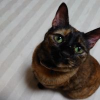 ちえくまりんさん