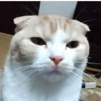 天天10 会員画像