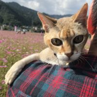 会員画像