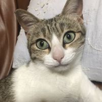 会員画像