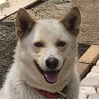 おじ子。さん