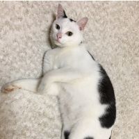 るうこ 会員画像