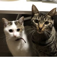やまきき 会員画像