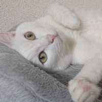 藤原ヒーロ 会員画像