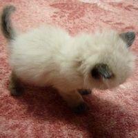 05101130 会員画像