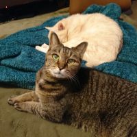 めいしゅう 会員画像