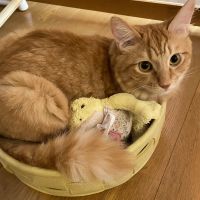 ririri- 会員画像