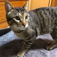 りんくんくん 会員画像