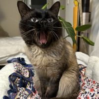 Yukitammmm 会員画像