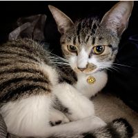 kohei715 会員画像