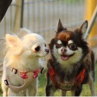 うるしはら 会員画像