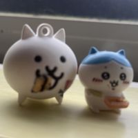 ピテモコさん