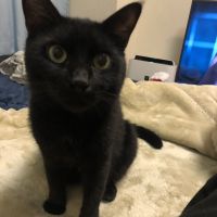 ちゃんマム(=^x^=)さん