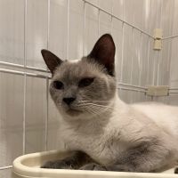 来暖さん