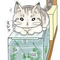 ほろん 会員画像