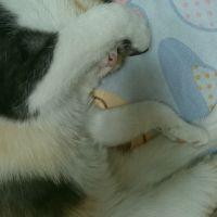 Yuton.com 会員画像