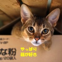 けむらぁさん