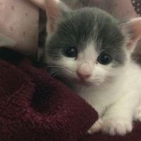 さちにょん 会員画像