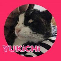 YUKiSS 会員画像
