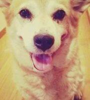 ミサト_ 会員画像