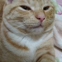 レオレオ0122 会員画像