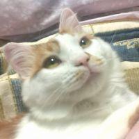 会員画像