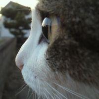 なこすけ 会員画像