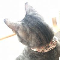 ますん 会員画像