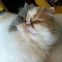 サングリア 会員画像