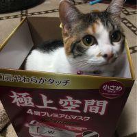 ユキ519 会員画像