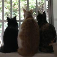 会員画像