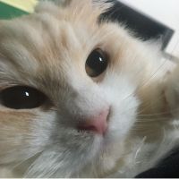 ミサヲ 会員画像