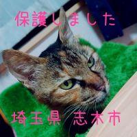 会員画像