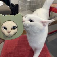 ねぎ（´・ω・｀）さん