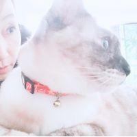 よこにゃーん 会員画像