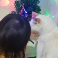 会員画像
