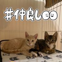 会員画像
