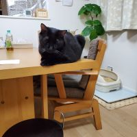 会員画像