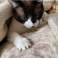 あいたけ 会員画像