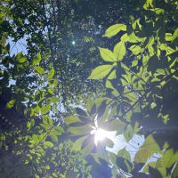 ロニさん