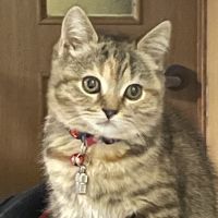 ハピびあんもあさん