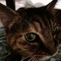 おさびちゃんさん