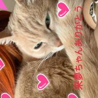 来夢ちゃん 会員画像