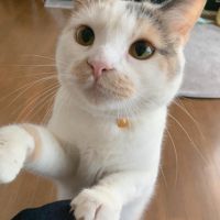 riiko77 会員画像