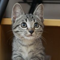 ひなせさん