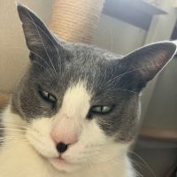 みしみし 会員画像