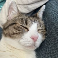 うりよもぎさん