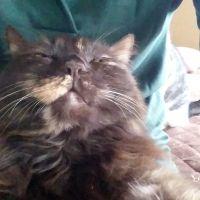 みょうがちゃん 会員画像