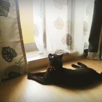 山本ジジ 会員画像