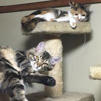 ふじおか 会員画像